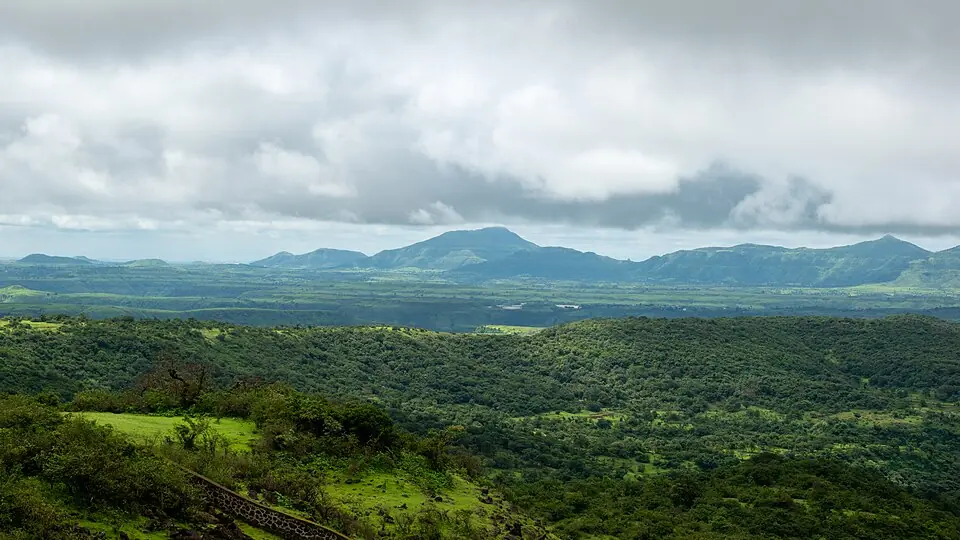 पश्चिमी घाट (सह्याद्रि) — सतत हरित श्रेणी